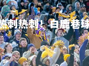 PG电子游戏-热刺热刺热刺！白鹿巷球迷庆祝胜利的眼泪