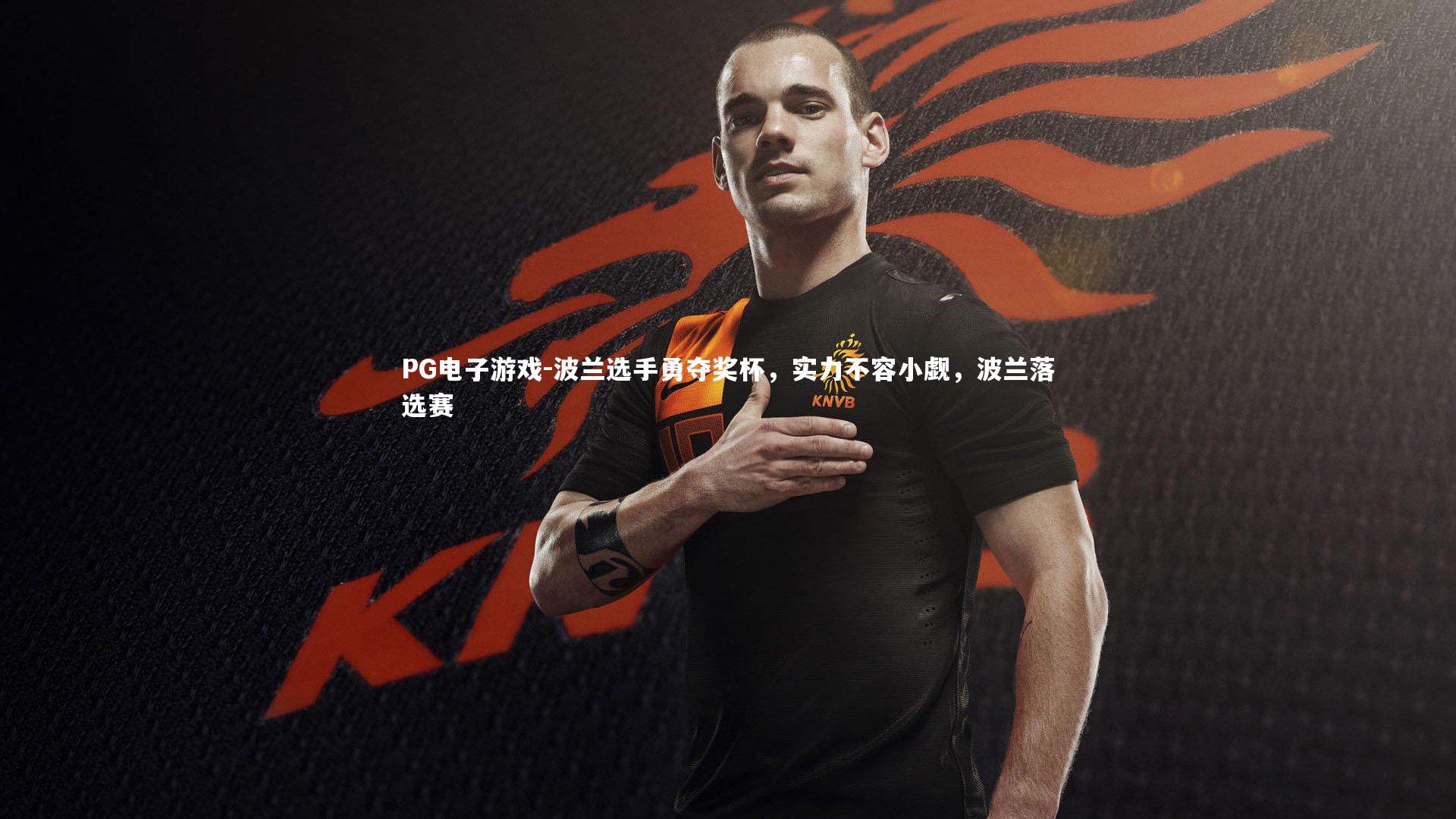 PG电子游戏-波兰选手勇夺奖杯，实力不容小觑，波兰落选赛