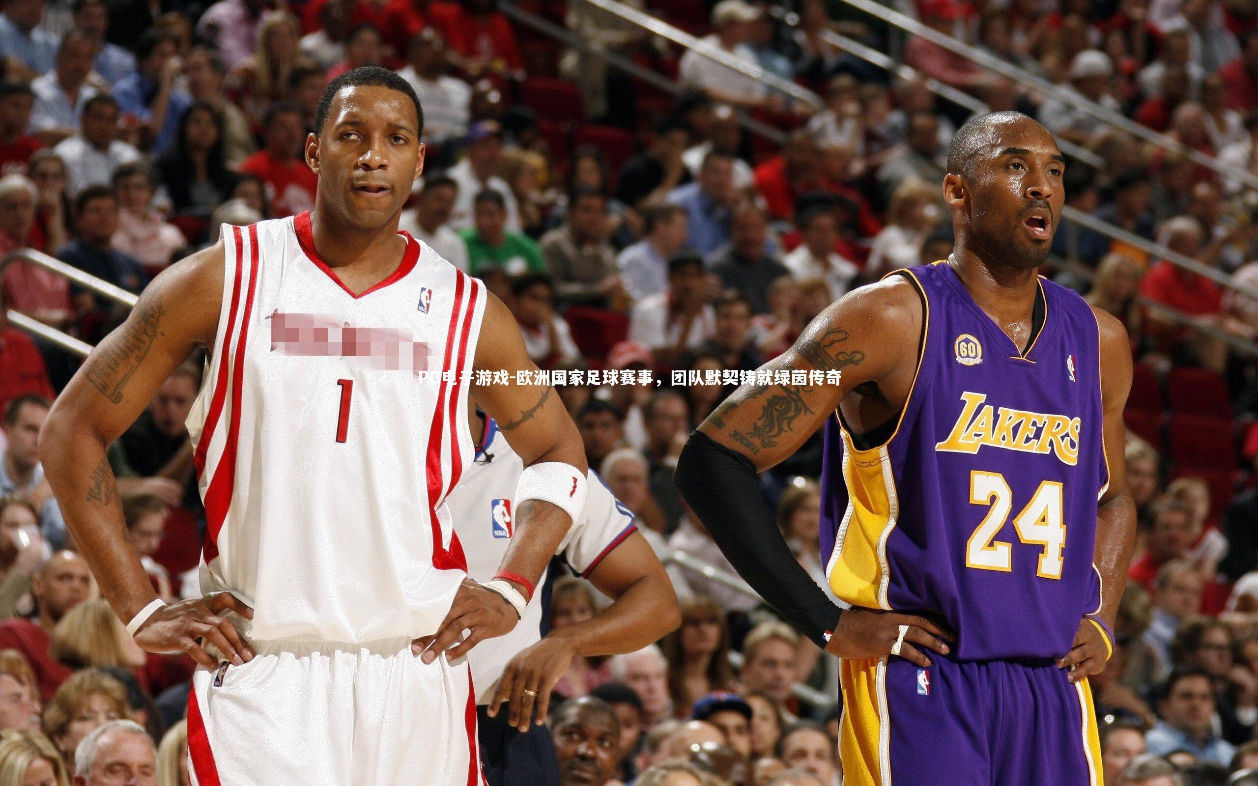 PG电子游戏-欧洲国家足球赛事，团队默契铸就绿茵传奇