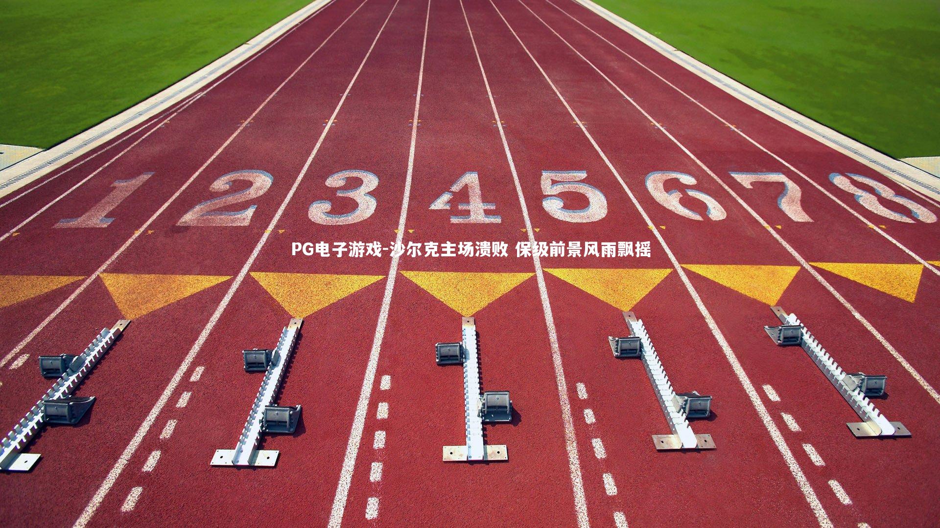 沙尔克主场溃败 保级前景风雨飘摇